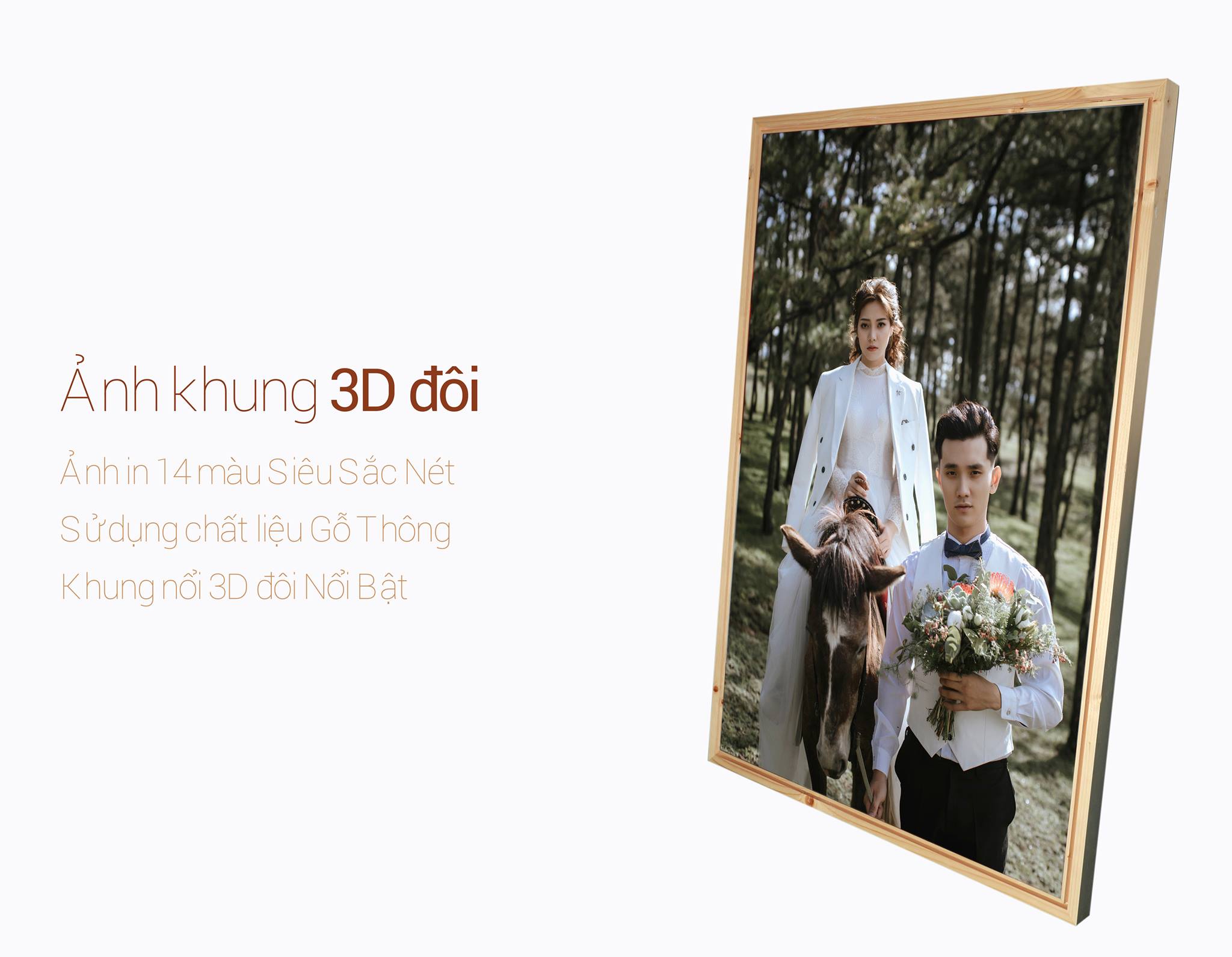 Tranh Ép Gỗ PLUS khung 3D - Siêu Sắc Nét 14 màu